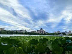 -莲花池公园