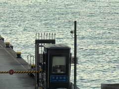 -海港城