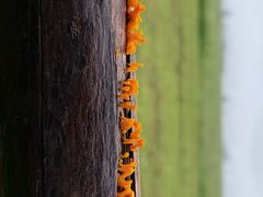 -汉长安城未央宫国家考古遗址公园