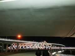 -演武大桥观景平台