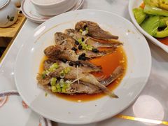 -稻香酒家·33年老字号·港式粤菜(富邦中心店)