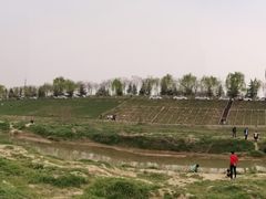 -洨河生态公园