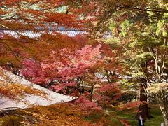 -三千院
