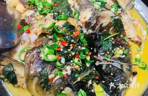 Mountain Pond Male Fish