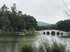 -金山植物公园