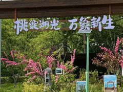 -金鸡湖桃花岛