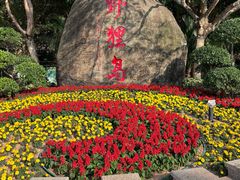 -野狸岛