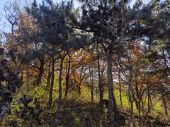 -北京十三陵国家森林公园蟒山景区
