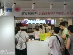 -树夏(建设路店)