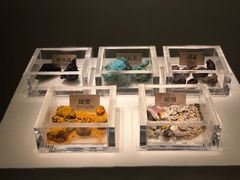 -南越王博物院(王宫展区)