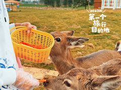 -盈香心动乐园