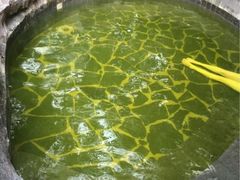 -龙达温泉生态城