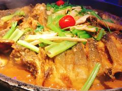 -老板恋上鱼(恒隆广场店)