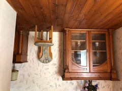 -金山农民画村-枫泾波兰倒置屋