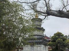 -庐山风景名胜区-东林大佛