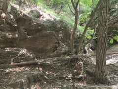 -北京上方山国家森林公园