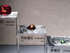 -中国地质博物馆