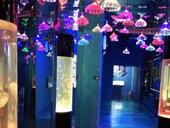 -沙沙哗啦海洋馆(华宇百花谷店)