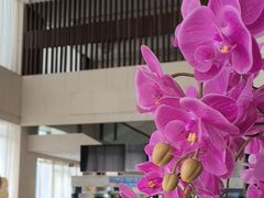 -芳芳私房菜·精作淮扬菜(玖珑湾店)