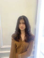 -YESIDO椰岛造型