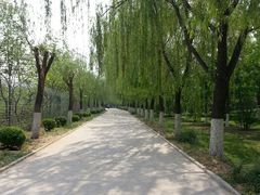 android_upload_pic-北京市海淀外国语实验学校