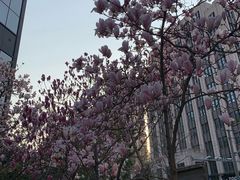 -海上海弘基休闲广场