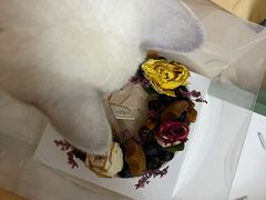 -小苍兰风铃草蛋糕甜品(沈阳店)