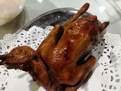 -石岐乳鸽村(南海第三分店)