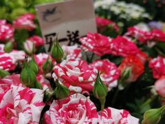-妃比花艺(光启城时尚购物中心店)