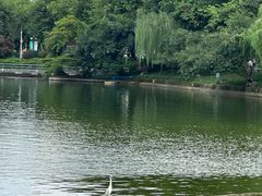-东山湖公园