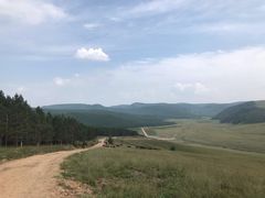 -塞罕坝国家级自然保护区