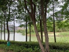 -南翔镇银翔湖公园