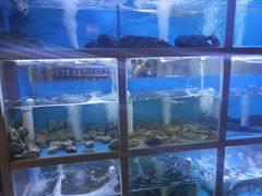 水产区-泮金大塘(北二七路店)
