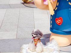 -港汇恒隆广场