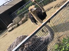 -上方山森林动物世界