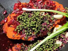 -孙婆婆美蛙兔火锅(踏水桥店)