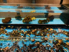 水产区-Mr·Fish鱼鲜生海鲜放题(银泰in99店)