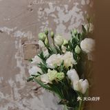 Buddy开启2.0时代