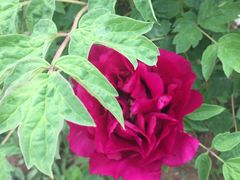 -华源足浴棋牌SPA