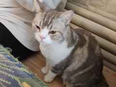 -平行世界·猫咖(首经贸店)