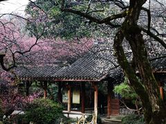 -杭州植物园