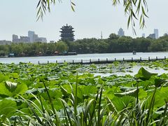 -济南大明湖景区