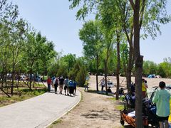 -东郊湿地公园
