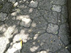 -汇龙潭