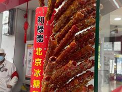 -和禄德冰糖葫芦
