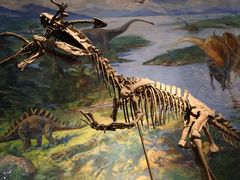 -自贡恐龙博物馆