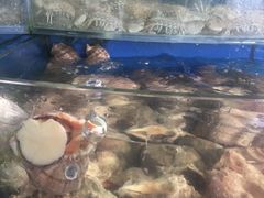 -渔中舟海鲜大排档(普陀沈家门店)