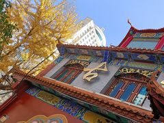 -云南古玩城(护国路店)