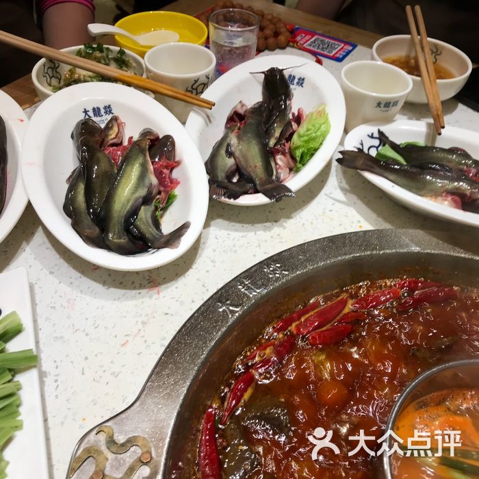 小包纸^           寻馐求馔的小白龙           大嘴叉子