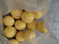 -西郊国际农产品交易中心